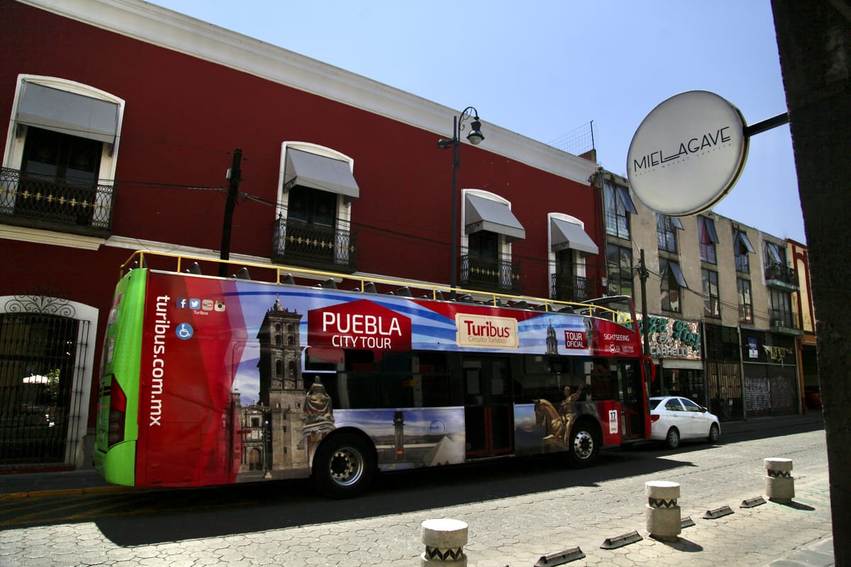 Turibus Mezcales